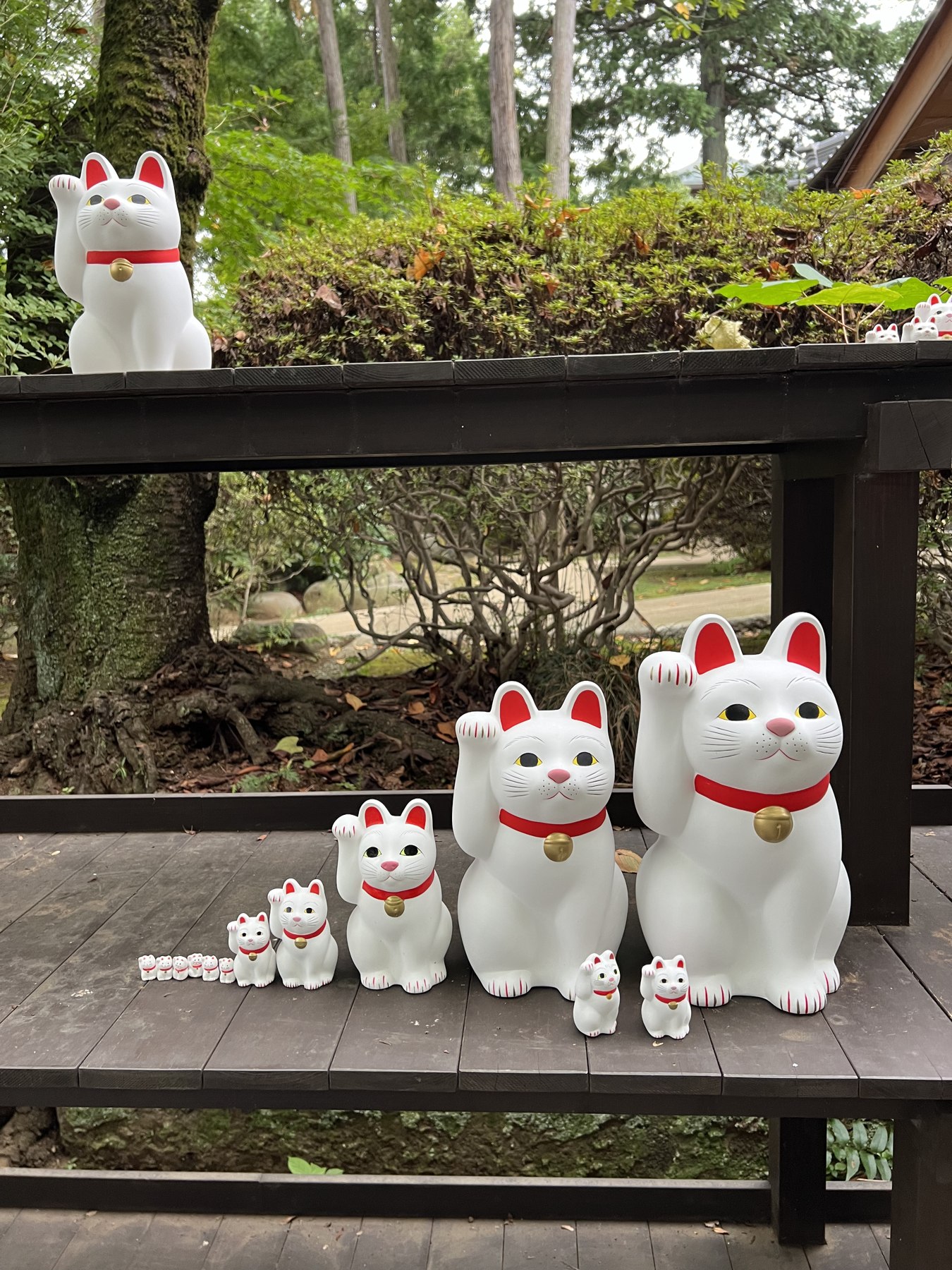 Ceramic lucky cat figurines of graduated sizes lined up in a row at Gotokuji temple, from tiny to large