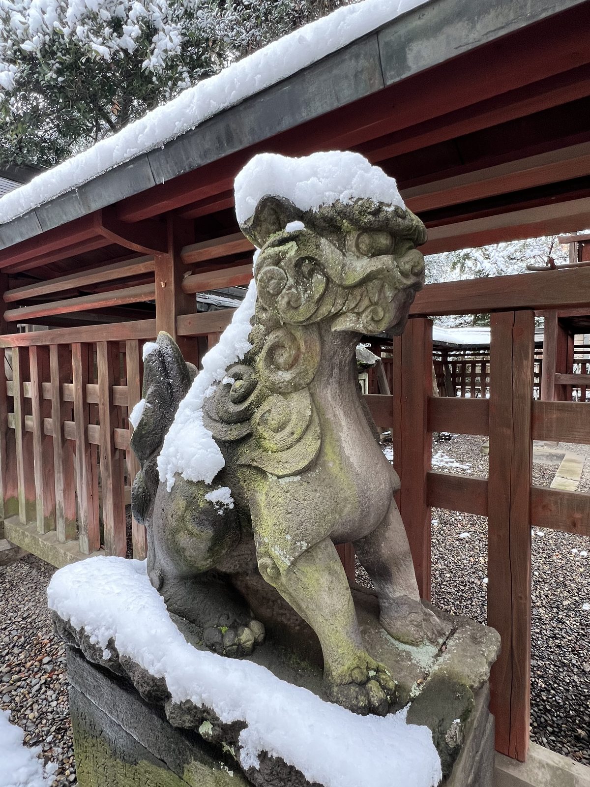 A stone guardian dog at a shrine, covered in snow